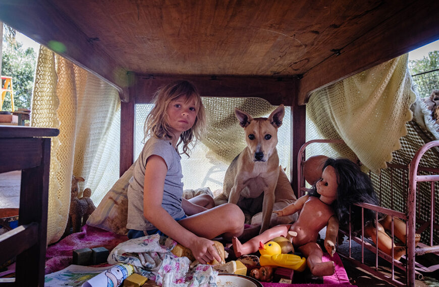 بررسی کتاب «امشب به سگ‌ها نرویم»: امبث دیویدتز و تصویری از آفریقای متحول از نگاه کودکی