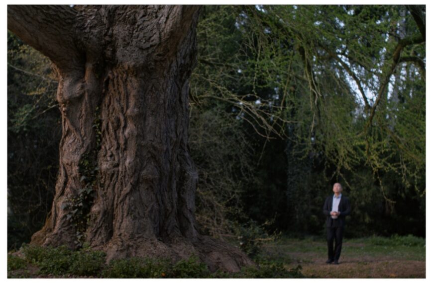 رقابت‌کنندگان شیر طلایی ونیز: «یتیم» و «دوست خاموش»؛ قدرت هم‌تولیدی‌ها در ارتقای صنعت مجارستان