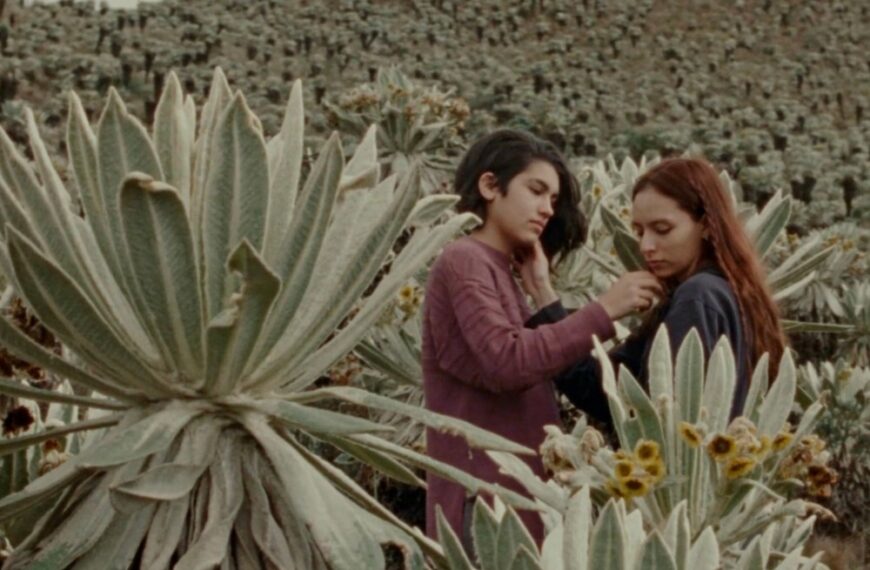 کارگردان «The Ivy» درباره نمایش ونیز و درام جدید «Amapola» درباره قربانیان قاچاق جنسی و بازسازی زندگی‌شان صحبت می‌کند