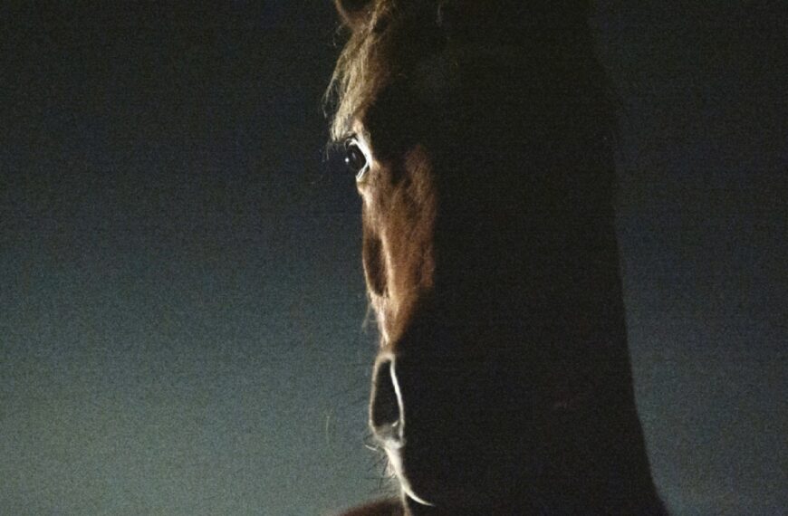 بررسی زندگی از دریچه مسابقه اسب‌سواری در فیلم «The Curve» در جشنواره Sanfic Industria