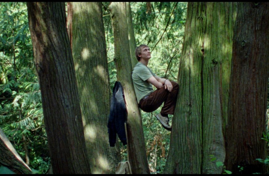 نقد فیلم «Silent Friend»: اثر جدید و مسحورکننده ایلدیکو انیدی که صدای درختان است