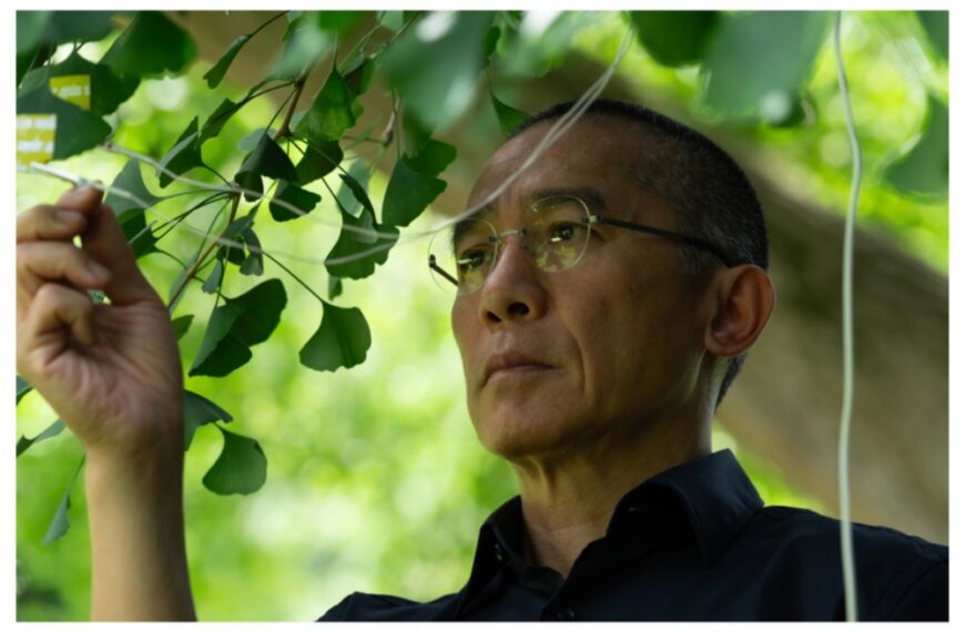 تونی لیانگ مشتاق همکاری دوباره با کارگردان «دوست خاموش»؛ دنباله مارول همچنان نامشخص