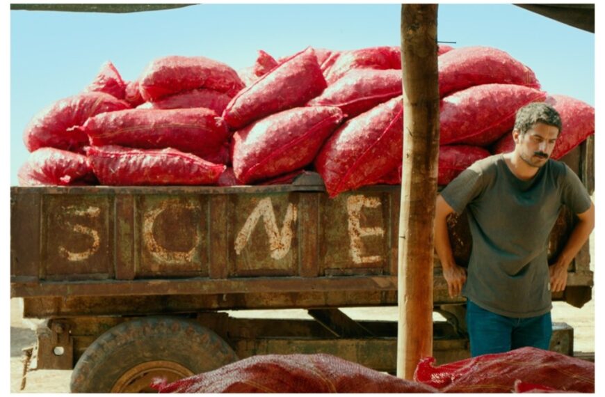رقابت بینالمللی اسکار: ترکیه فیلم «یکی از آن روزهایی که هممه میمیرد» را معرفی کرد