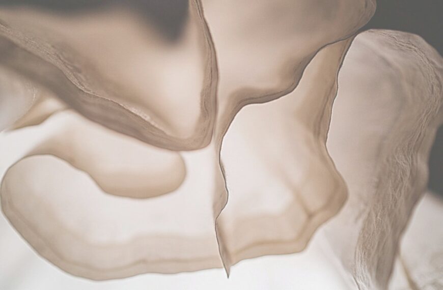 «سکوت دارها» تاریخ فراموش‌شده پارچه موسلین را در بازار پروژه‌های آسیایی بوسان زنده می‌کند