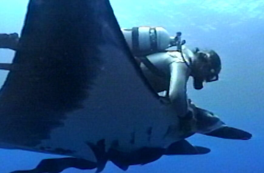 کارگردان «The Last Dive» درباره سفره‌ماهی‌ها، نوشتن مستندها و جشنواره فیلم بین‌المللی Camden صحبت می‌کند