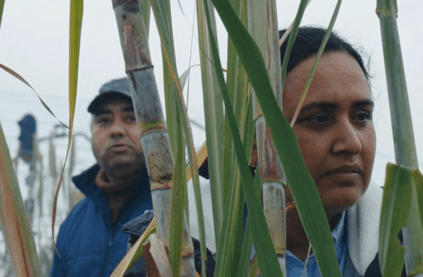 حضور قدرتمند کاتالان‌ها در سن سباستین: سالی تاریخی برای منطقه در حال رشد اسپانیا