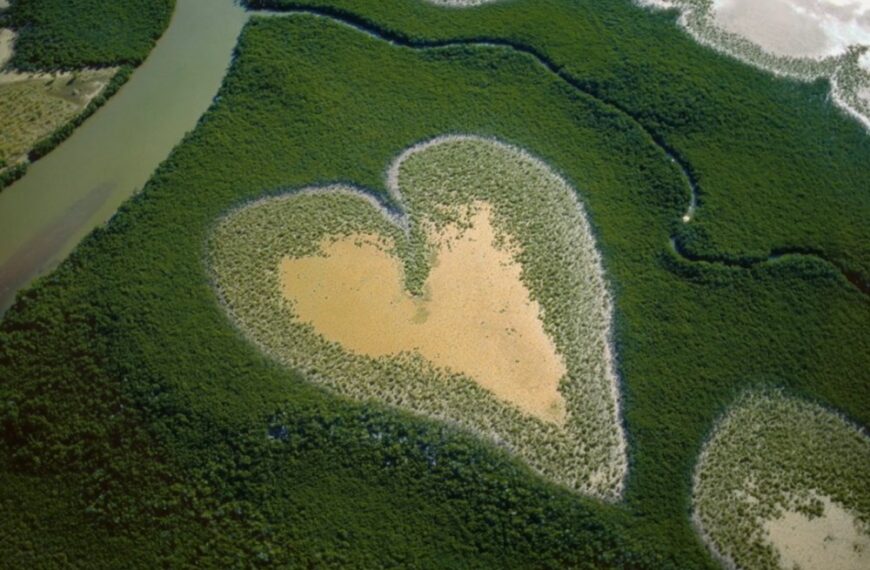 فروش مستند «Nature» یان آرتوس-برتراند به ZDF و Ceska TV و نمایش ویژه در Unifrance Le Havre