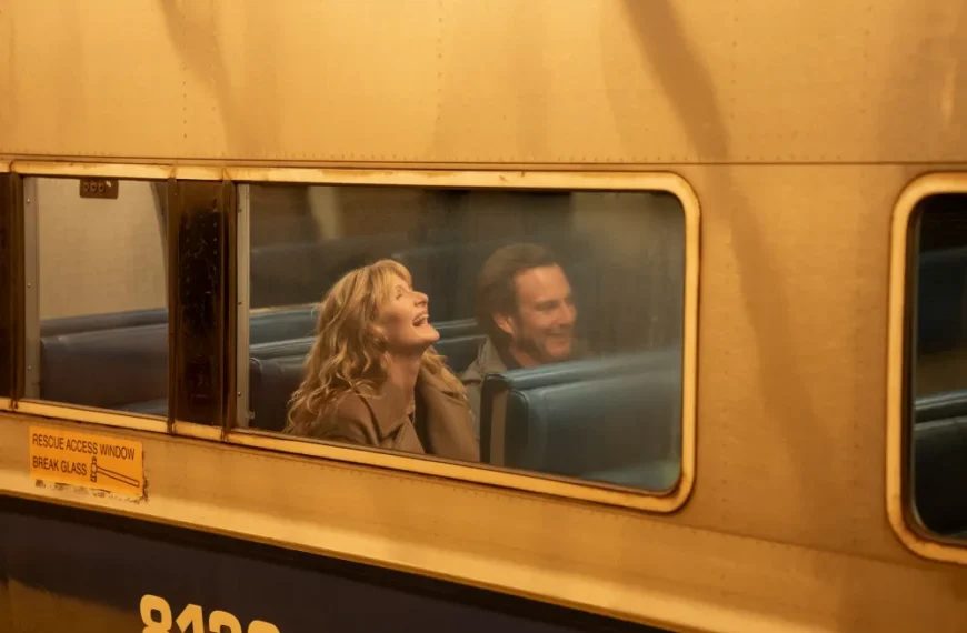 «آیا این دستگاه روشن است» در دسته‌بندی درام گلدن گلوب با بازی ویل آرنت و لورا درن رقابت می‌کند