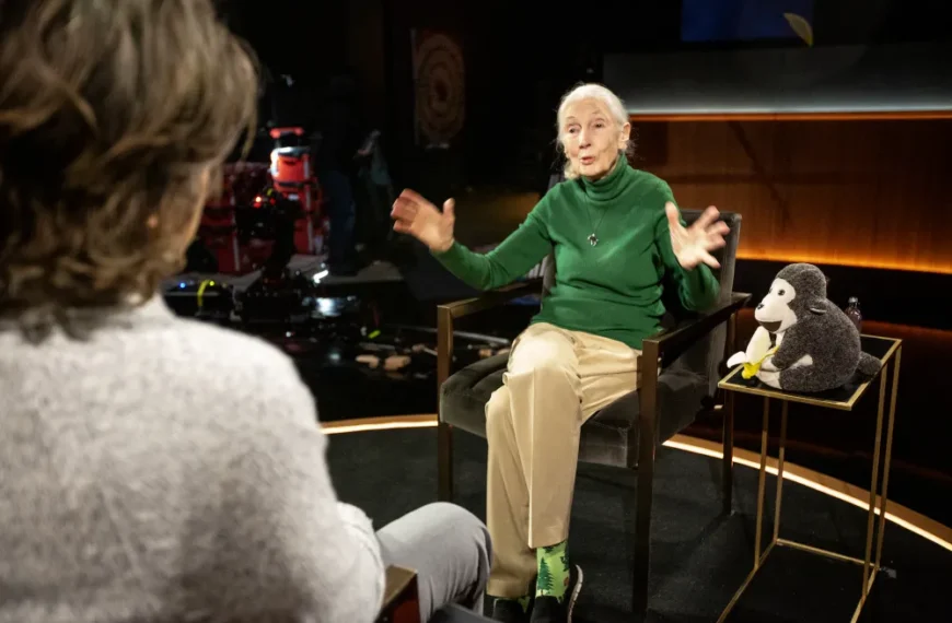 مصاحبه نهایی جین گودال در اولین قسمت از «Famous Last Words» نتفلیکس فاش شد