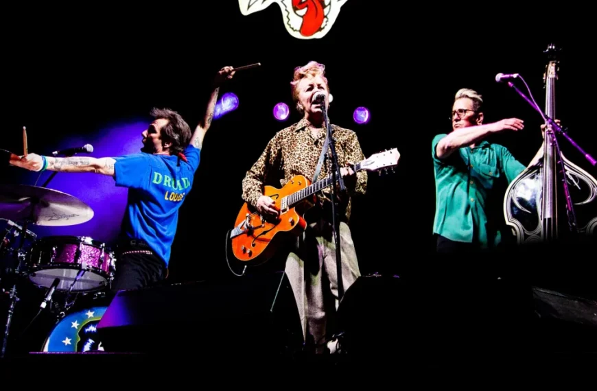 لغو تور پاییزی Stray Cats&hellip;