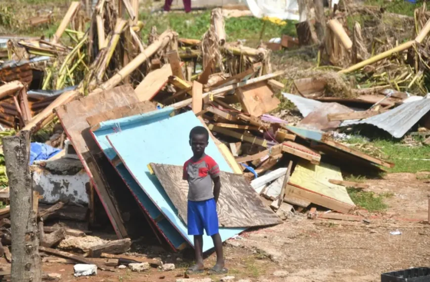 شگی تلاش‌های امدادی طوفان ملیسا در جامائیکا را رهبری می‌کند — چگونه می‌توانید کمک کنید؟