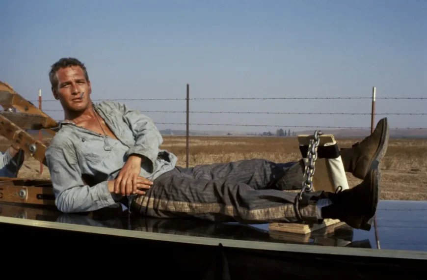 نگاهی به آثار پل نیومن؛ شور برنامه‌ریزی، جشنواره فیلم تورینو را جوان نگه می‌دارد