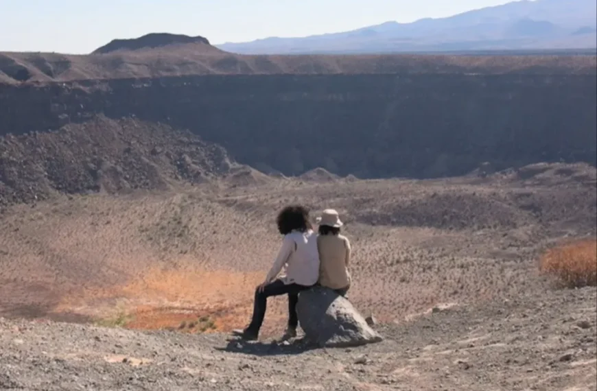 تسکوفسکی فیلم «The Shipwrecked» از دیگو گوتیرز را پیش از نمایش جهانی در IDFA خریداری کرد