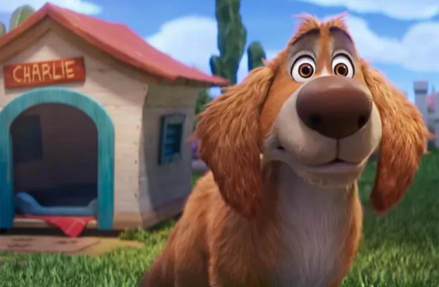 اولین تریلر «Charlie the Wonderdog» با صدای اوون ویلسون منتشر شد – اخبار کوتاه سینما